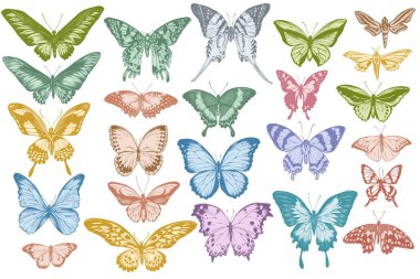 El yapımı pastel papilio ullysses, morpho menelaus, grahium androcles, morpho rhetenor cacica, papilio demoleus, cethosia biblis, papilio antimachus, alcides agathyrsus, ornithoptera