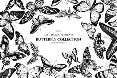 Siyah beyaz papilio Ulysses, morpho menelaus, graphium androcles, morpho rehetenor cacica, papilio demoleus, cethosia biblis, papilio antimachus, alcides agathyrsus, ornithoptera
