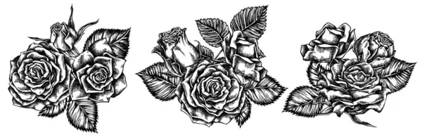 Buquê de flores de rosas pretas e brancas — Vetor de Stock