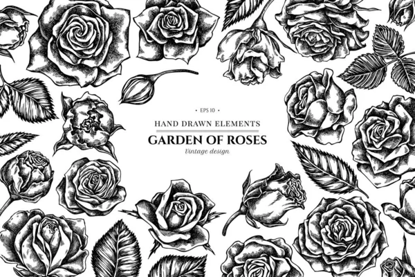 Kwiatowy wzór z czarno-białymi różami — Wektor stockowy