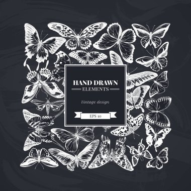 Tebeşir papilio Ulysses, morpho menelaus, graphium androcles, morpho rhetenor cacica, papilio demoleus, cethosia biblis, papilio antimachus, alcides agathyrsus, ornithoptera priamus