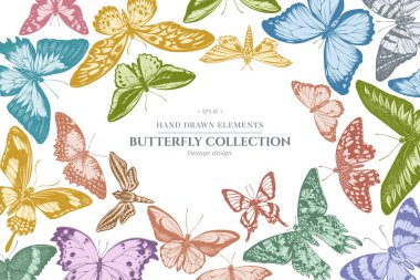 Pastel renkli papilio Ulysses, morpho menelaus, graphium androcles, morpho rhetenor cacica, papilio demoleus, cethosia biblis, papilio antimachus, alcides agathyrsus, ornithoptera priamus