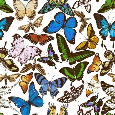 El çizimi papilio Ulysses, morpho menelaus, grahium androcles, morpho retenor cacica, papilio demoleus, cethosia biblis, alcides agathyrsus, ornithoptera priamus