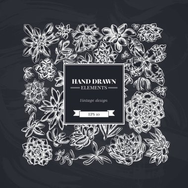 Kare çiçekli tebeşir sulu echeveria, sulu echeveria, sulu