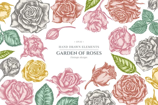 Kwiatowy wzór z pastelowymi różami — Wektor stockowy
