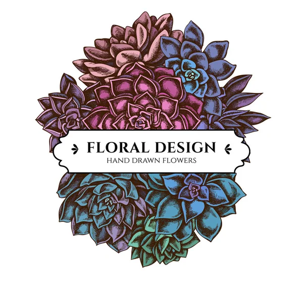 Diseño de ramo floral con equeveria suculenta de color, equeveria suculenta, suculenta — Vector de stock