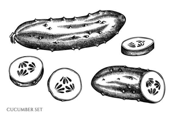 Vektor uppsättning handritad svart och vit gurka — Stock vektor