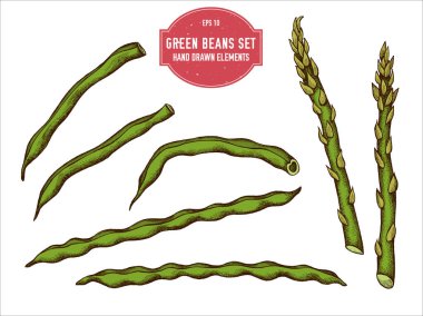 Elle çizilmiş yeşil fasulye koleksiyonu