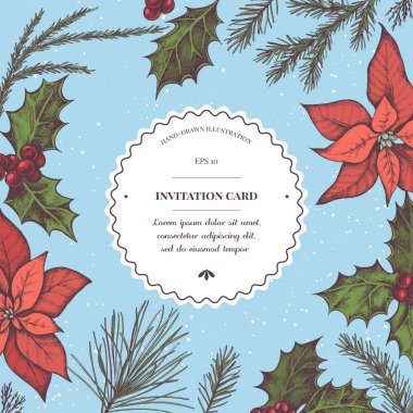 Renkli noktalı vektör bileşimi, Holly, çam dalı, ladin, sekoya ağacı