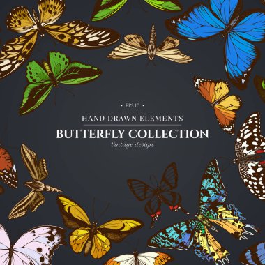 Design on dark background with papilio ulysses, morpho menelaus, graphium androcles, morpho rhetenor cacica, papilio demoleus, cethosia biblis, papilio antimachus, alcides agathyrsus, ornithoptera clipart