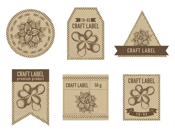 Craft labels vintage design with illustration of succulent — 스톡 벡터