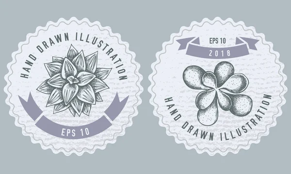 Monochrome labels design with illustration of succulent — 스톡 벡터