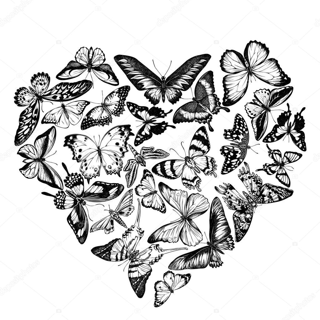 Heart design with black and white morpho menelaus, graphium androcles, morpho rhetenor cacica, papilio demoleus, cethosia biblis, papilio antimachus, alcides agathyrsus, ornithoptera priamus