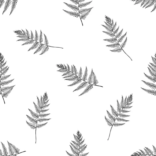 Seamless pattern with black and white fern — 스톡 벡터
