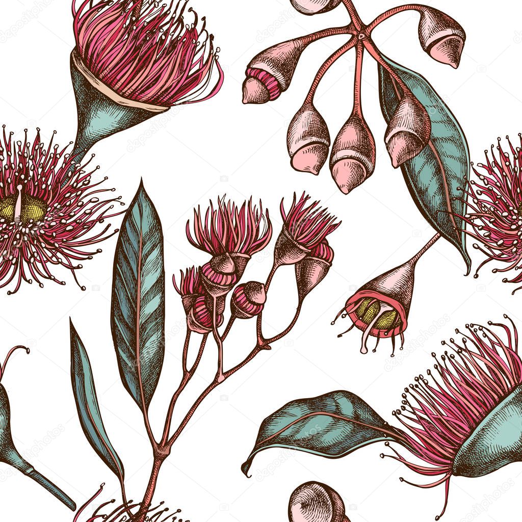 Seamless pattern with hand drawn colored eucalyptus flower