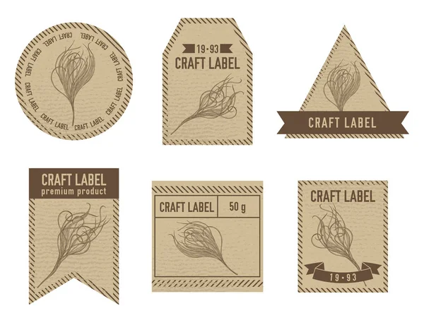 Craft labels with feather grass — 스톡 벡터