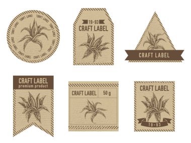 aloe stok illüstrasyon sanatı ile el işi etiketleri