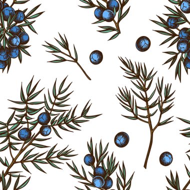 Elle çizilmiş ardıç desenli kusursuz