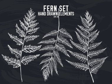 Elle çizilmiş tebeşir eğreltiotu taşıyıcı koleksiyonu