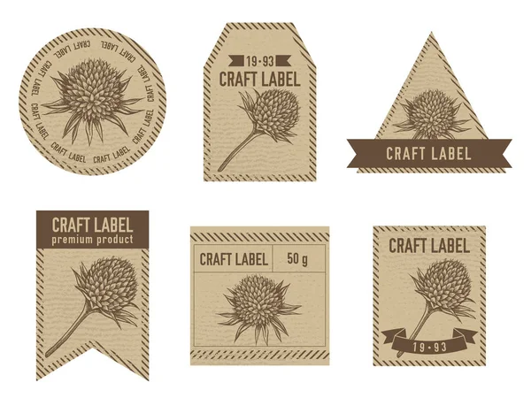 Craft labels with globethistle stock illustration art — 스톡 벡터