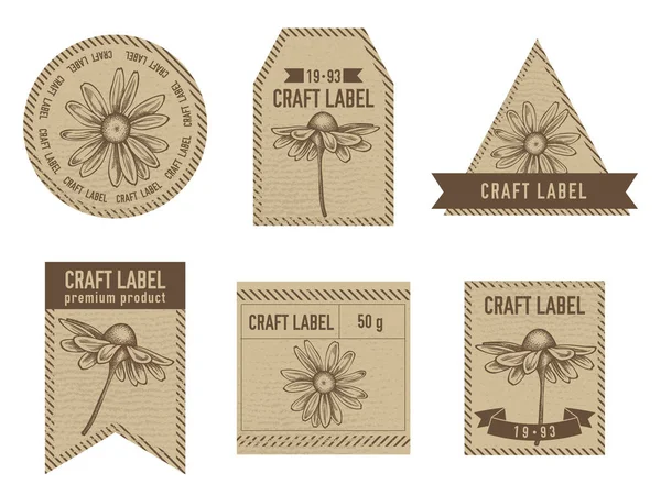 Craft labels with chamomile stock illustration art — 스톡 벡터