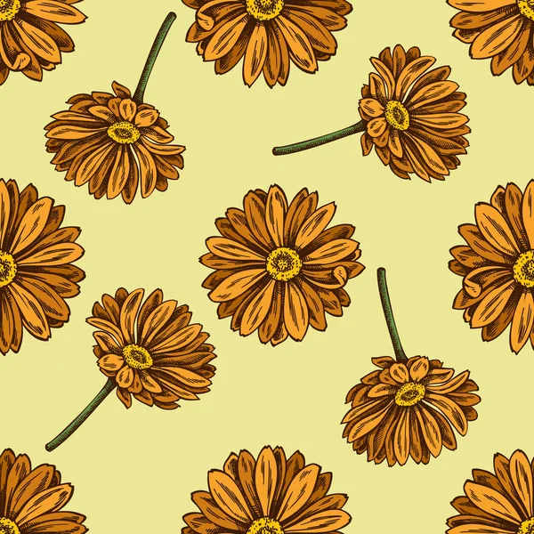 Seamless pattern with hand drawn colored calendula — 스톡 벡터