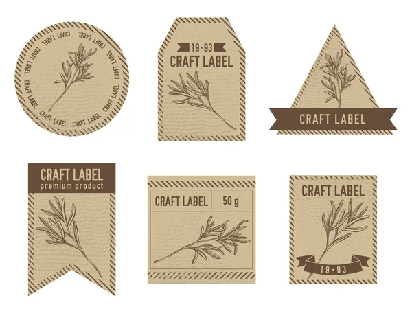 Craft labels with rosemary — 스톡 벡터