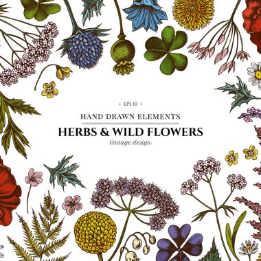 Renkli çoban çantalı çiçek tasarımı, heather, eğreltiotu, yabani sarımsak, yonca, globethistle, gentiana, astilbe, craspedia, lagurus, siyah oyma, papatya, karahindiba, haşhaş çiçeği, zambak çiçeği,