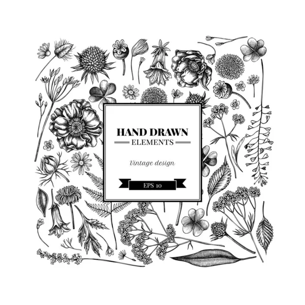 Diseño floral cuadrado con monedero de pastores blanco y negro, brezo, helecho, ajo silvestre, trébol, globethistle, gentiana, astilbe, craspedia, lagurus, alcaravea negra, manzanilla, diente de león, flor de amapola — Vector de stock