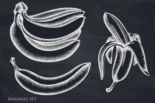 Conjunto vectorial de plátanos tiza dibujados a mano — Vector de stock