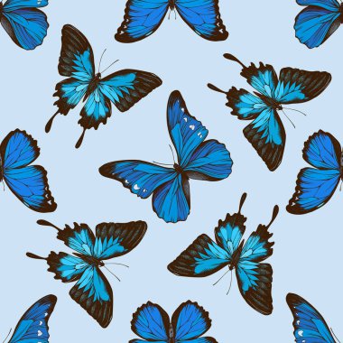 Elle çizilmiş papilio Ulysses, morpho menelaus, morpho retenor cacica ile kusursuz desen.