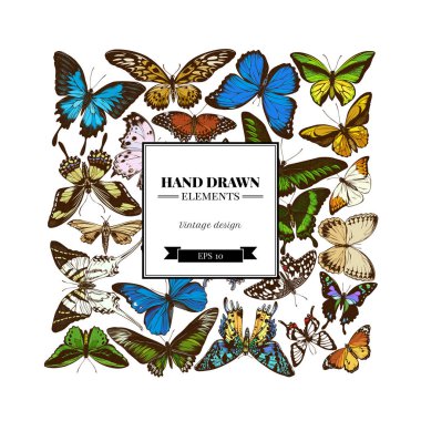 Renkli papilio Ulysses, morpho menelaus, graphium androcles, morpho rhetenor cacica, papilio demoleus, cethosia biblis, papilio antimachus, alcides agathyrsus, ornithoptera priamus