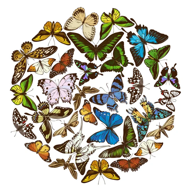 Diseño redondo con ulysses de papilio de colores, morpho menelaus, graphium androcles, morpho rhetenor cacica, papilio demoleus, cethosia biblis, papilio antimachus, alcides agathyrsus, ornithoptera priamus — Vector de stock