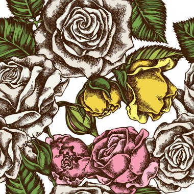 Kusursuz desenli, el çizimi güller.