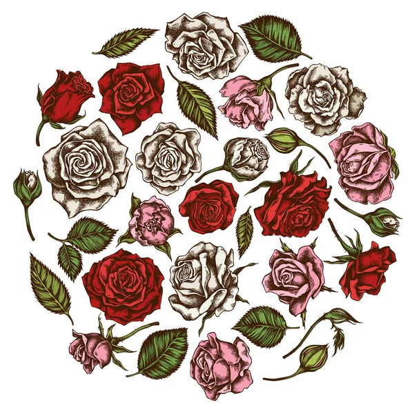 Круглый цветочный дизайн с цветными розами — стоковый вектор