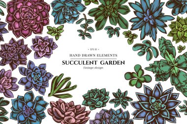 Renkli sulu echeveria çiçekli tasarım, sulu echeveria, sulu