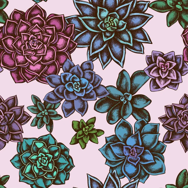 手绘彩色多汁紫锥菊无缝图案 — 图库矢量图片