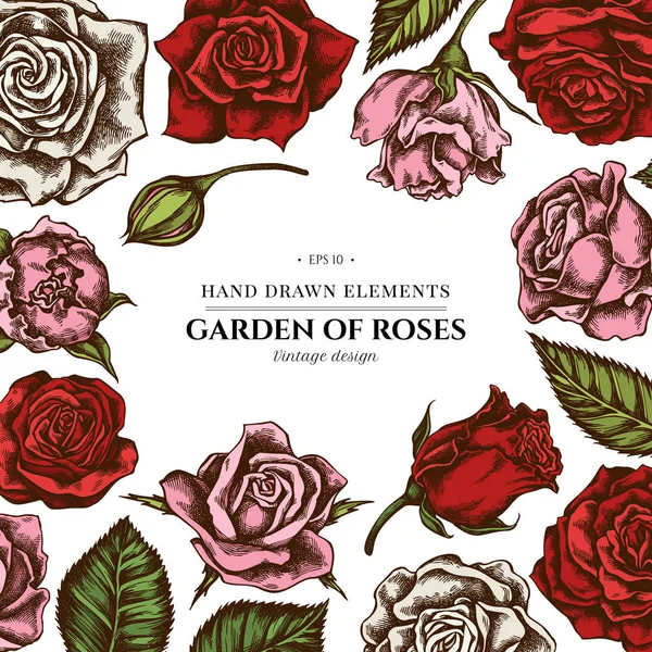 Цветочный дизайн с цветными розами — стоковый вектор