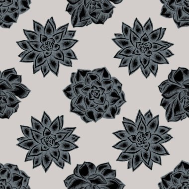 Kusursuz desenli, el çizimi, sulu, sulu echeveria, sulu echeveria.