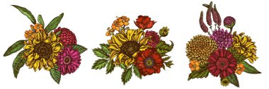 Renkli gelincik çiçeği, gerbera, ayçiçeği, süt otu, yıldız çiçeği, Veronica