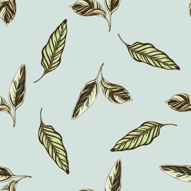 Elle çizilmiş kalathea ile kusursuz desen