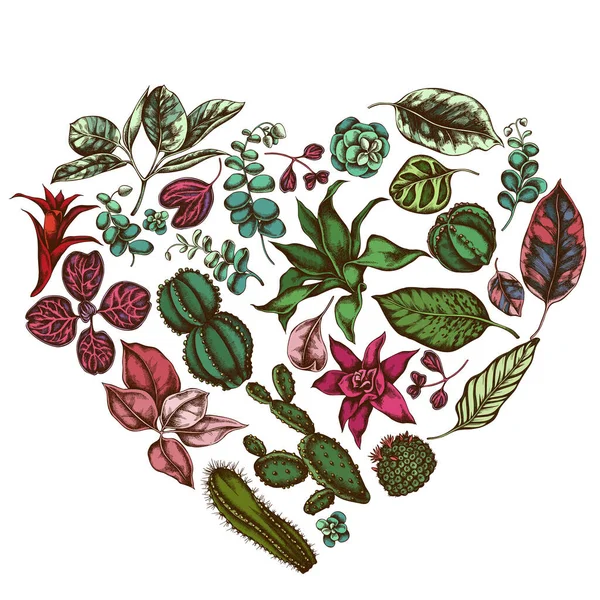 Diseño floral de corazón con ficus de colores, iresina, kalanchoe, calatea, guzmania, cactus — Vector de stock
