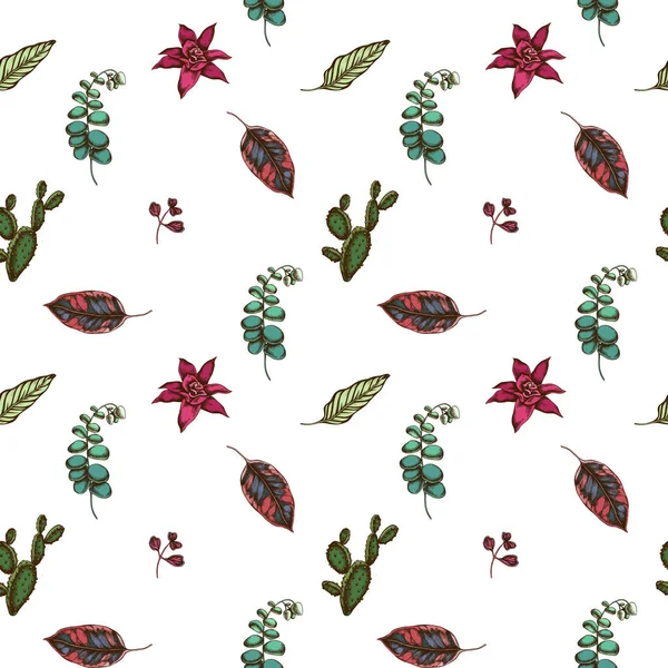 Naadloos patroon met de hand getekende gekleurde ficus, iresine, kalanchoë, calathea, guzmania, cactus — Stockvector