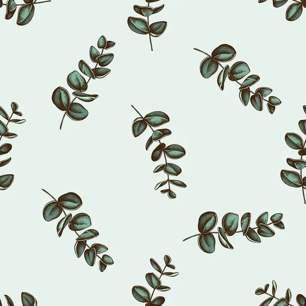 Nahtloses Muster mit handgezeichnetem farbigem Eukalyptus — Stockvektor