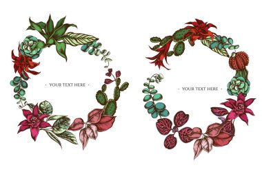 Renkli çiçek çelengi, iresine, kalanchoe, calathea, guzmania, kaktüs