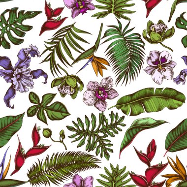 Elle çizilmiş kusursuz desenler, muz palmiyesi yaprakları, strelitzia, heliconia, tropikal palmiye yaprakları, orkide