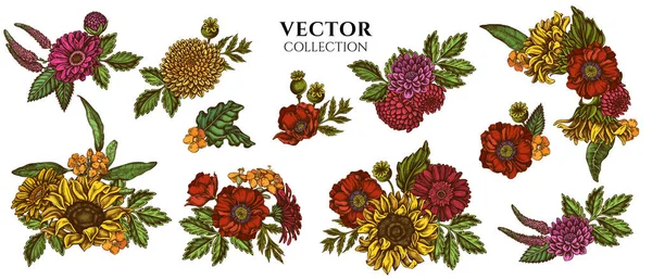Цветочный букет цветного мака, гербера, подсолнух, молочный сорняк, георгин, Вероника — стоковый вектор