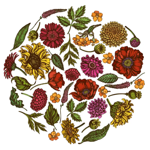 Круглый цветочный дизайн с цветными цветами мака, герберы, подсолнечника, молочных сорняков, георгины, Вероники — стоковый вектор