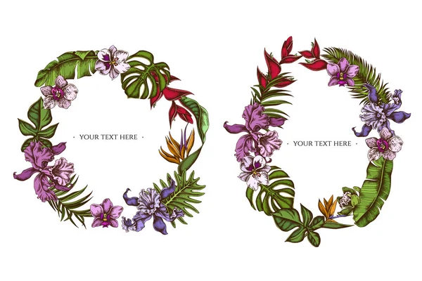 Grinalda floral de monstera colorido, folhas de bananeira, estrelitzia, heliconia, folhas de palma tropicais, orquídea —  Vetores de Stock