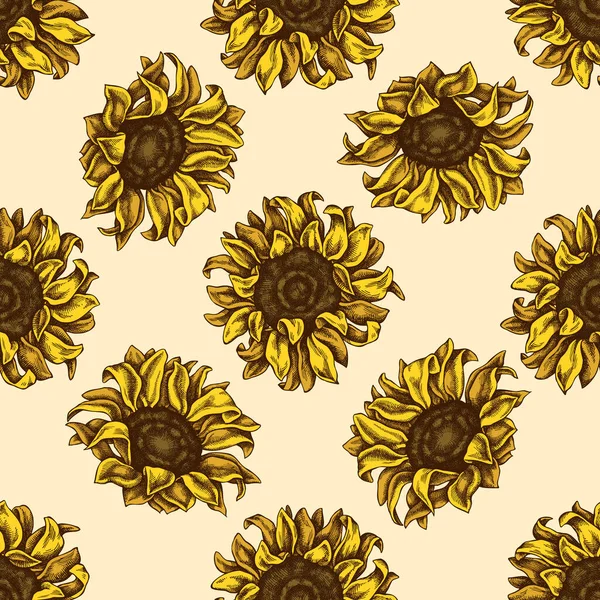 Seamless pattern with hand drawn colored sunflower — Stock Vector